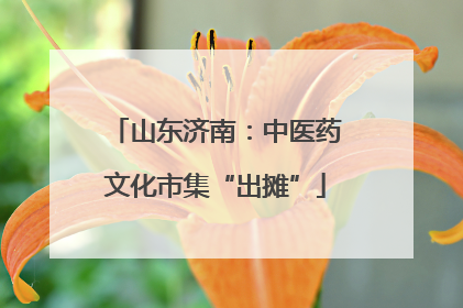 山东济南：中医药文化市集“出摊”
